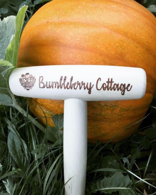 Bumbleberry Cottage Gresford Extérieur photo